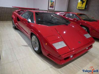 Lamborghini Countach Anniversary 25th